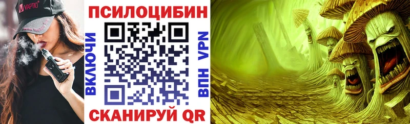 blacksprut как зайти  Канск  Псилоцибиновые грибы ЛСД  дарнет шоп 